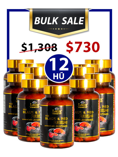 BULK SALE SAVING 12 HŨ - SUPER BLACK RED REISHI