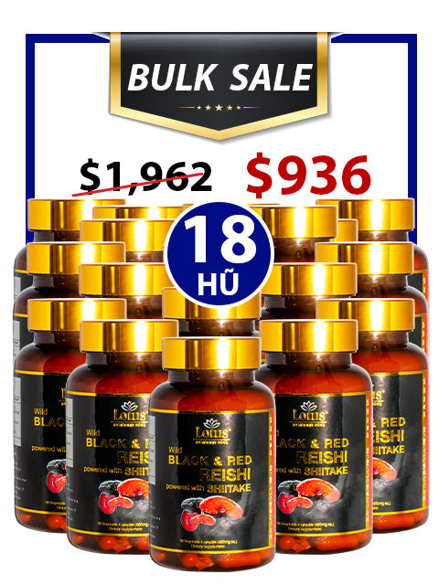 BULK SALE SAVING 18 HŨ - SUPER BLACK RED REISHI NHẬT BẢN