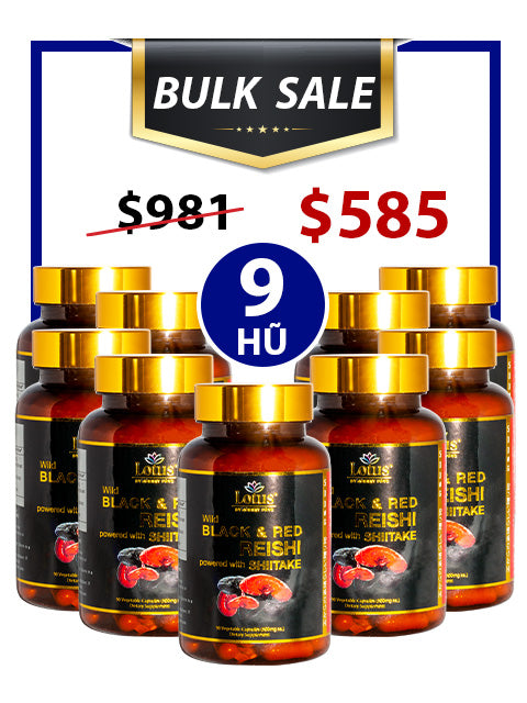 BULK SALE SAVING 9 HŨ - SUPER BLACK RED REISHI LINH CHI ĐỎ ĐEN NHẬT BẢN