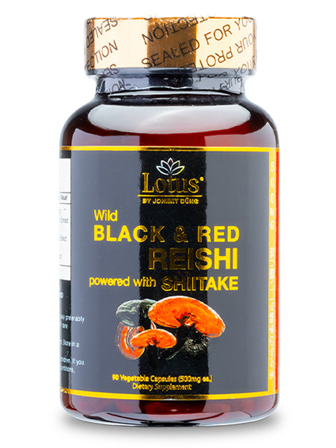 SUPER BLACK RED REISHI SHIITAKE - NẤM LINH CHI ĐỎ ĐEN 奇跡の赤黒霊芝