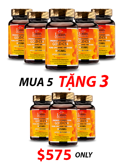 ORGANIC SUPER TIBETAN CORDYCEPS GOLD CS4