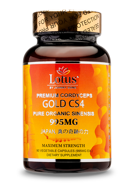 COMBO SUPER GOLD - 2 LOẠI ĐÔNG TRÙNG HẠ THẢO THƯỢNG HẠNG スーパーゴールド冬虫夏草