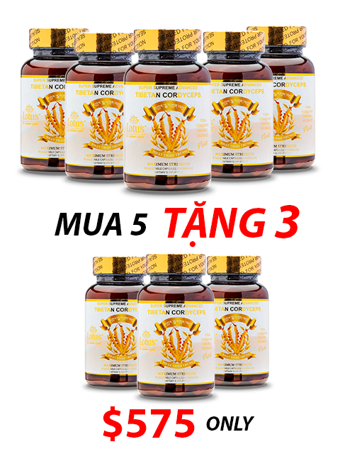 SUPER ADVANCED TIBETAN CORDYCEPS MIX 1,000MG 活力を育む自然の恵み