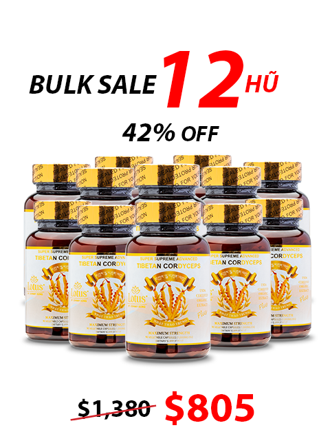 SUPER ADVANCED TIBETAN CORDYCEPS MIX 1,000MG 活力を育む自然の恵み