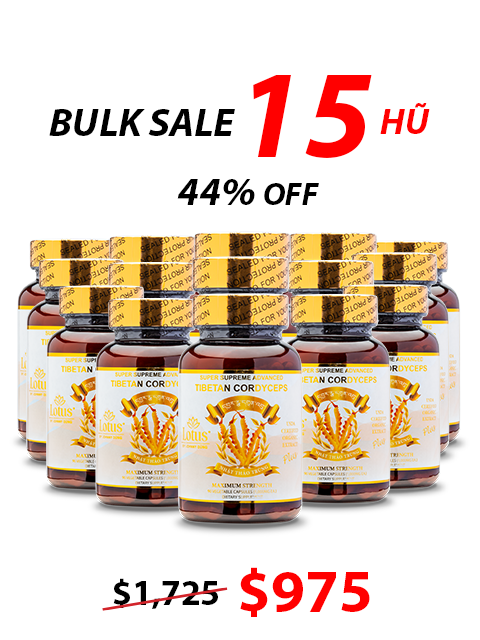 SUPER ADVANCED TIBETAN CORDYCEPS MIX 1,000MG 活力を育む自然の恵み