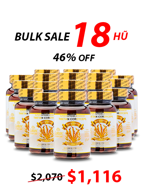 SUPER ADVANCED TIBETAN CORDYCEPS MIX 1,000MG 活力を育む自然の恵み