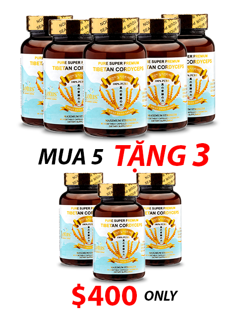 SUPER PREMIUM CORDYCEPS PURE 1,000MG - 60 VIÊN