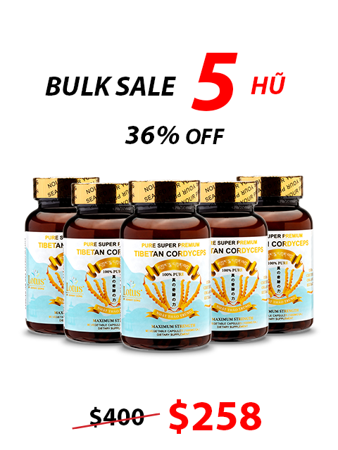SUPER PREMIUM CORDYCEPS PURE 1,000MG - 60 VIÊN