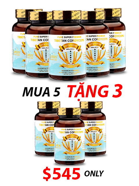 SUPER PREMIUM CORDYCEPS PURE 1,000MG - 90 VIÊN