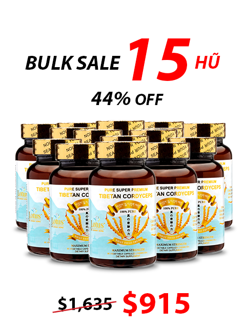 SUPER PREMIUM CORDYCEPS PURE 1,000MG - 90 VIÊN