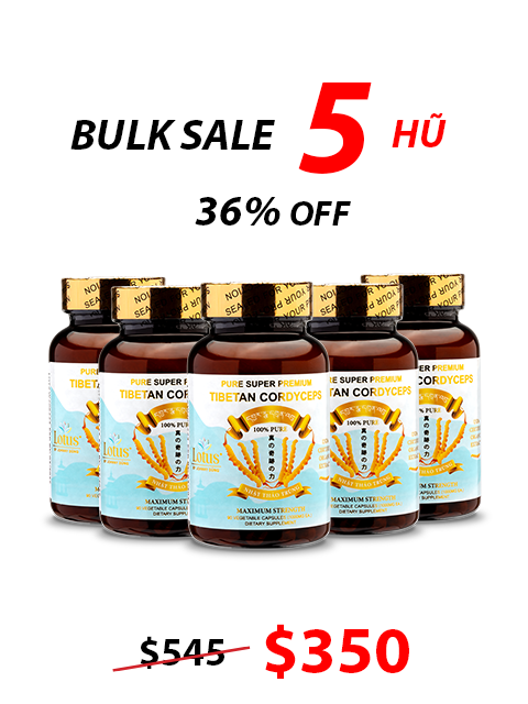 SUPER PREMIUM CORDYCEPS PURE 1,000MG - 90 VIÊN