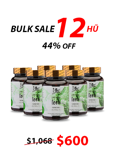 SUPER NANO FERMENTED ISHIGAKI CHLORELLA 石垣ナノクロレラ