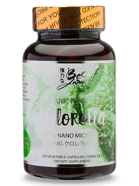 SUPER NANO FERMENTED ISHIGAKI CHLORELLA 石垣ナノクロレラ