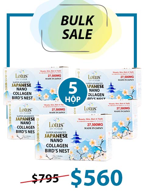 BULK 5 BOXES - SUPER COLLAGEN TỔ YẾN TRÀ HOA NỮ PLUS 27,500MG