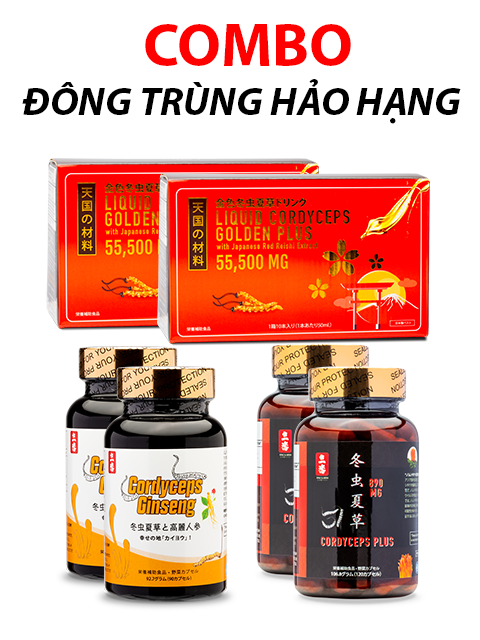 COMBO MIX 3 LOẠI ĐÔNG TRÙNG HẠ THẢO HẢO HẠNG ワールドベスト冬虫夏草