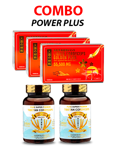 COMBO NANO REISHI SUPER POWER - MIX ĐÔNG TRÙNG HẠ THẢO POWER PLUS