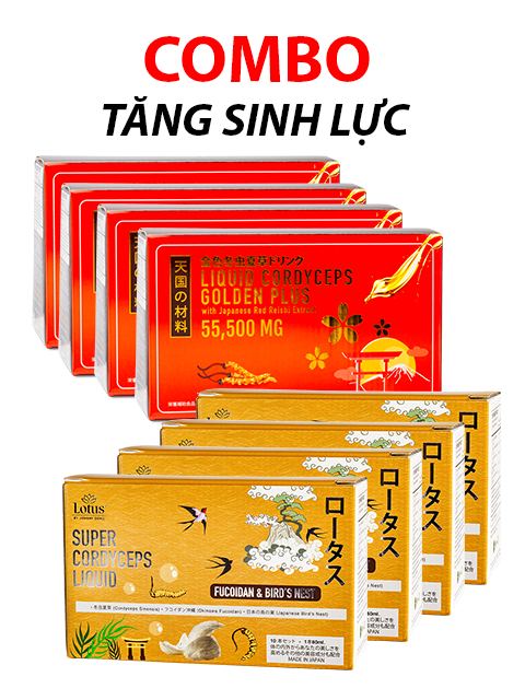 COMBO TĂNG SINH LỰC 8 HỘP - NƯỚC UỐNG ĐÔNG TRÙNG HẠ THẢO ĐẶC BIỆT