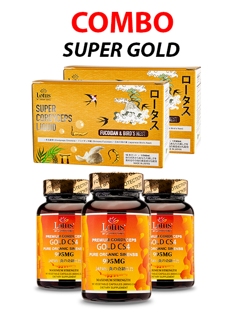 COMBO SUPER GOLD - 2 LOẠI ĐÔNG TRÙNG HẠ THẢO THƯỢNG HẠNG スーパーゴールド冬虫夏草