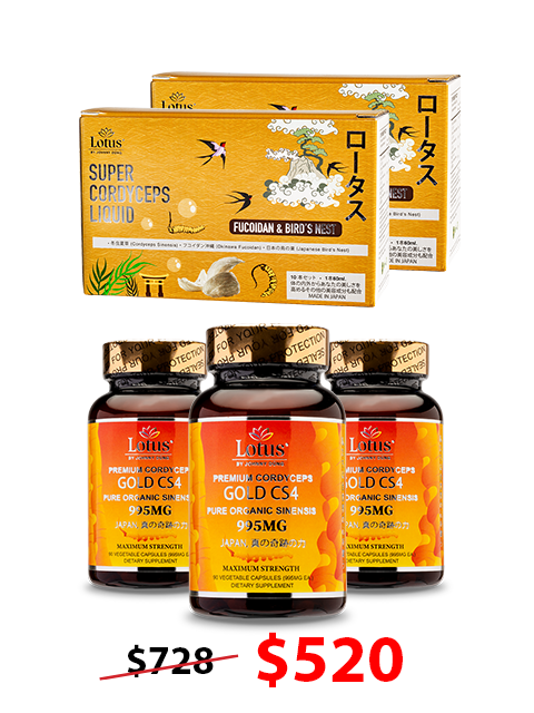 COMBO SUPER GOLD - 2 LOẠI ĐÔNG TRÙNG HẠ THẢO THƯỢNG HẠNG スーパーゴールド冬虫夏草