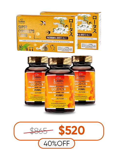 COMBO SUPER GOLD - 2 LOẠI ĐÔNG TRÙNG HẠ THẢO THƯỢNG HẠNG スーパーゴールド冬虫夏草