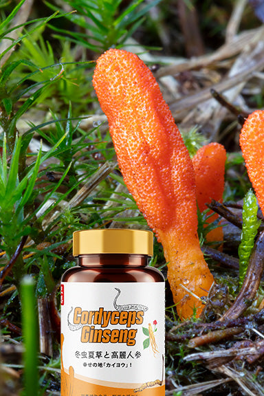 ORGANIC SUPER TIBETAN CORDYCEPS WHITE GINSENG (90 CAPSULES)