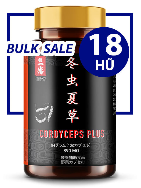 BULK SALE SAVING 18 HŨ - PREMIUM POWER CORDYCEPS PLUS 890MG