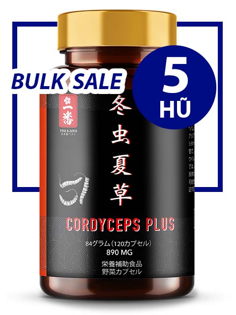 BULK SALE SAVING 5 HŨ - PREMIUM POWER CORDYCEPS PLUS 890MG