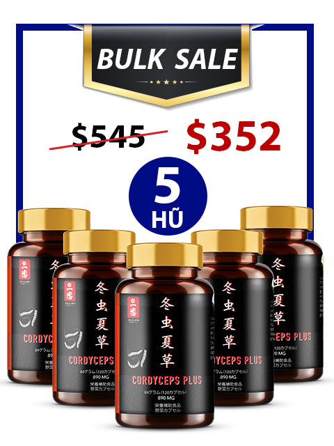 BULK SALE SAVING 5 HŨ - PREMIUM POWER CORDYCEPS PLUS 890MG