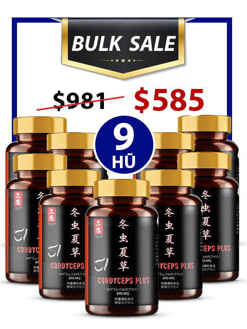 BULK SALE SAVING 9 HŨ - PREMIUM POWER CORDYCEPS PLUS 890MG