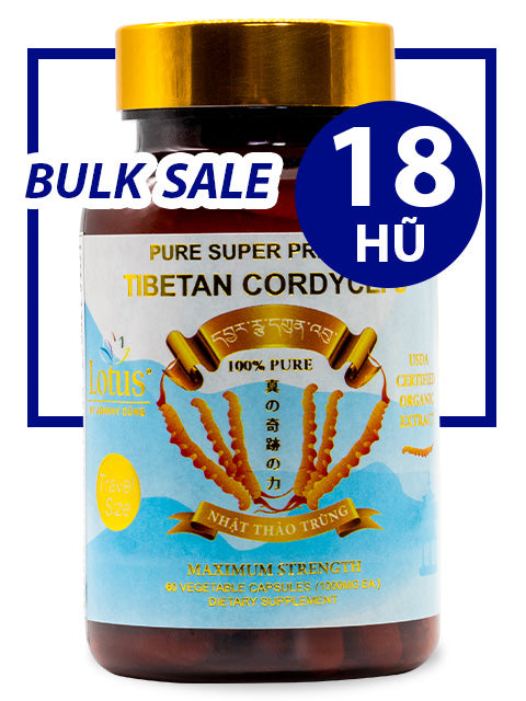 BULK SALE SAVING 18 HŨ - PREMIUM PURE CORDYCEPS 1,000MG (90 VIÊN)