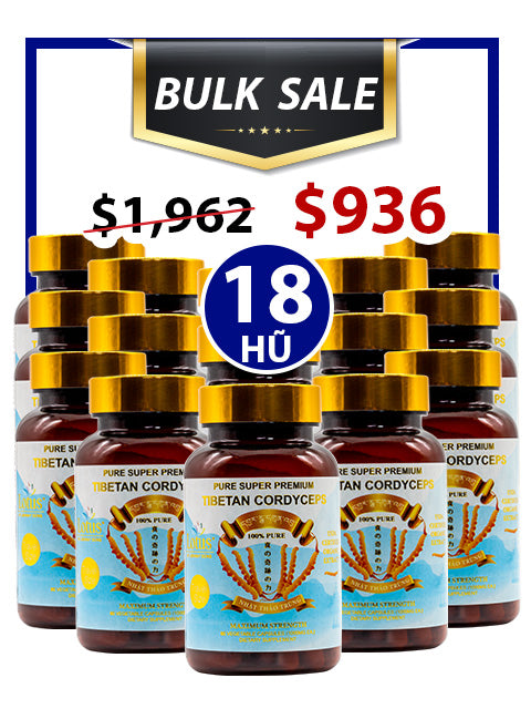 BULK SALE SAVING 18 HŨ - PREMIUM PURE CORDYCEPS 1,000MG (90 VIÊN)