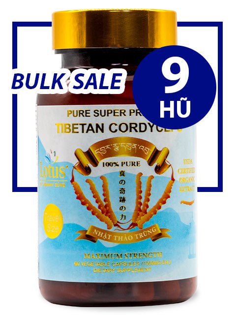 BULK SALE SAVING 9 HŨ - PREMIUM PURE CORDYCEPS 1,000MG (90 VIÊN)