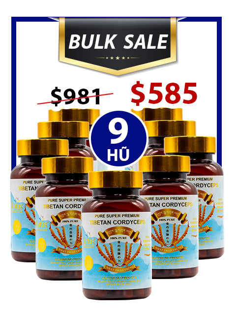 BULK SALE SAVING 9 HŨ - PREMIUM PURE CORDYCEPS 1,000MG (90 VIÊN)