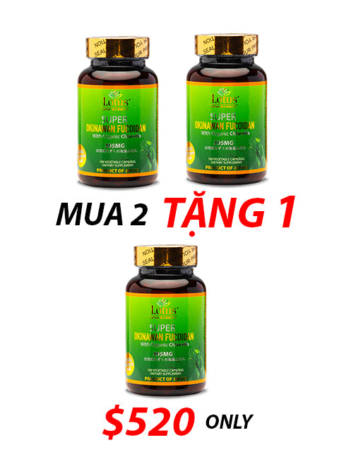 SUPER OKINAWAN FUCOIDAN CHLORELLA 395MG - 180 CAPS フコイダン&クロレラ