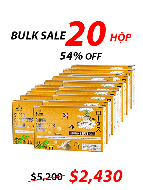 NHẬT BẢN NƯỚC UỐNG ĐÔNG TRÙNG FUCOIDAN & TỔ YẾN 冬虫夏草フコイダン&燕の巣