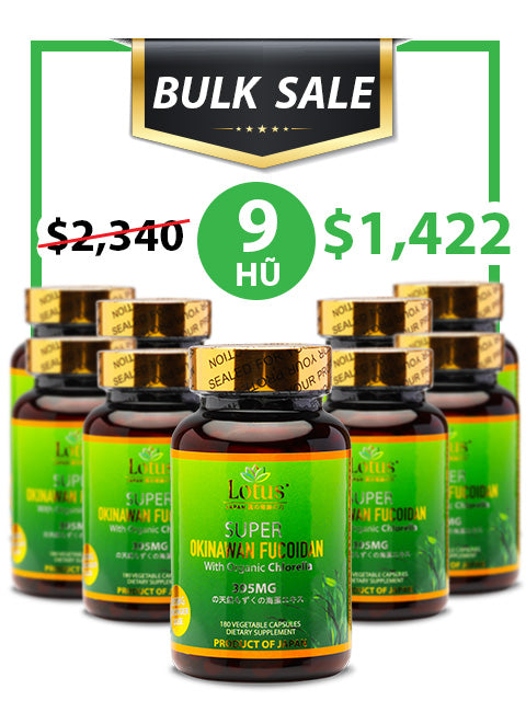 BULK SALE SAVING 9 HŨ - SUPER OKINAWAN FUCOIDAN 395MG (180 CAPS)