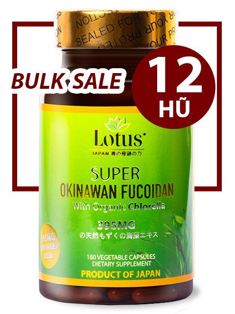BULK SALE SAVING 12 HŨ - OKINAWA SUPER FUCOIDAN 395MG (180 CAPS)