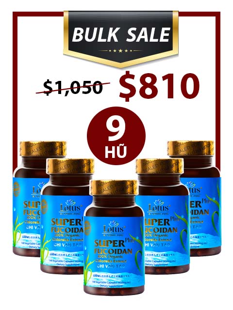 BULK SALE SAVING 9 HŨ- OKINAWA FUCOIDAN 450MG (100 CAPS)