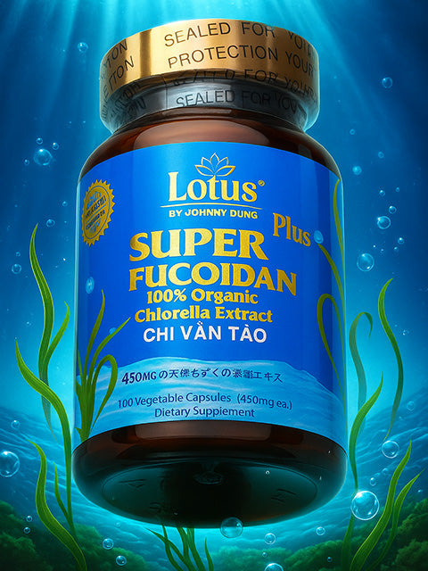 SUPER OKINAWAN FUCOIDAN CHLORELLA 450MG - 100 CAPS