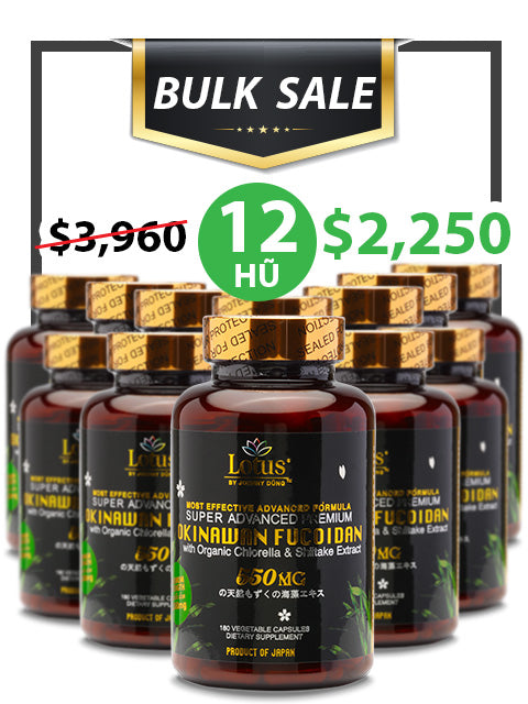 BULK SALE 12 HŨ - SUPER ADVANCED FUCOIDAN 550MG SHIITAKE