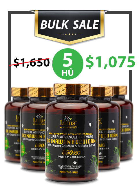 BULK SALE 5 HŨ - SUPER ADVANCED FUCOIDAN 550MG SHIITAKE