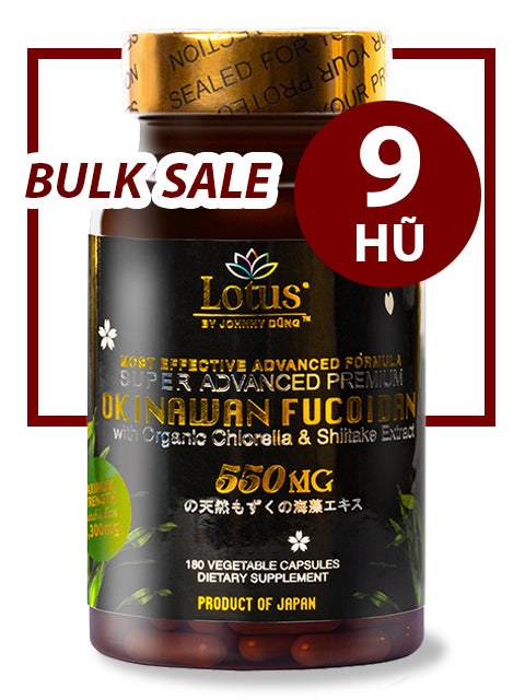 BULK SALE 9 HŨ - SUPER ADVANCED FUCOIDAN 550MG SHIITAKE