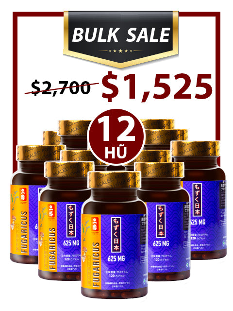 BULK SALE SAVING 12 HŨ - OKINAWA SUPER FUCOIDAN AGARICUS 625MG (120 CAPS)