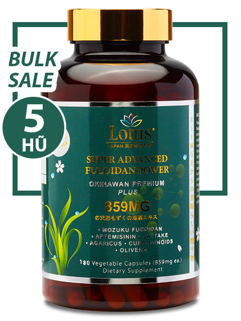 BULK SALE SAVING 5 HŨ - SUPER FUCOIDAN POWER PLUS 859MG (180 CAPS)