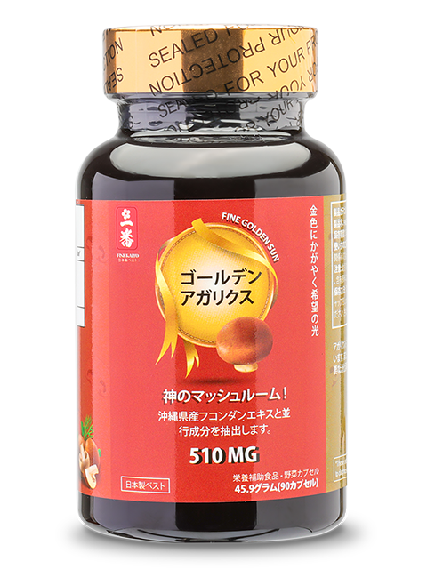 JAPANESE GOLDEN SUN AGARICUS - NẤM VÀNG THÁI DƯƠNG 太陽の黄金アガリクス