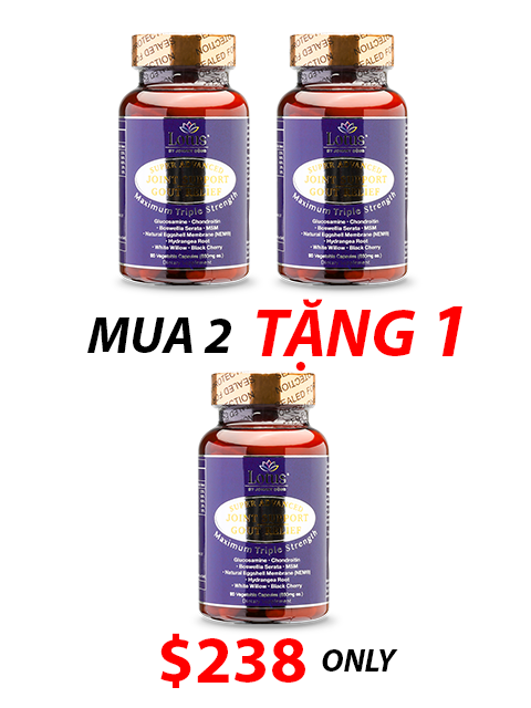 SUPER ADVANCED JOINT GOUT RELIEF - CHỐNG ĐAU NHỨC XƯƠNG KHỚP 一歩ごとの自由