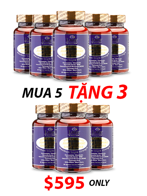 SUPER ADVANCED JOINT GOUT RELIEF - CHỐNG ĐAU NHỨC XƯƠNG KHỚP 一歩ごとの自由