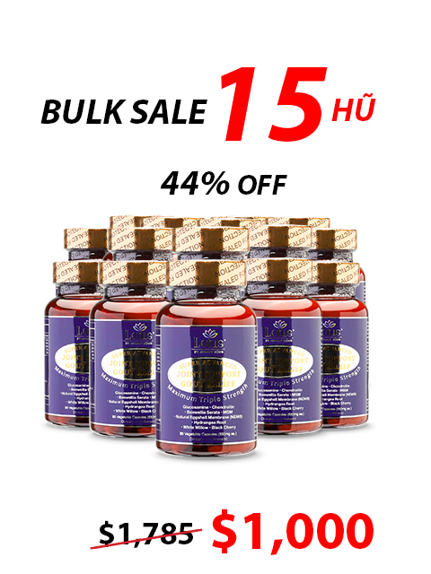 SUPER ADVANCED JOINT GOUT RELIEF - CHỐNG ĐAU NHỨC XƯƠNG KHỚP 一歩ごとの自由