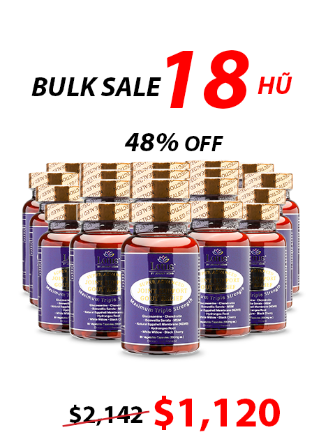 SUPER ADVANCED JOINT GOUT RELIEF - CHỐNG ĐAU NHỨC XƯƠNG KHỚP 一歩ごとの自由