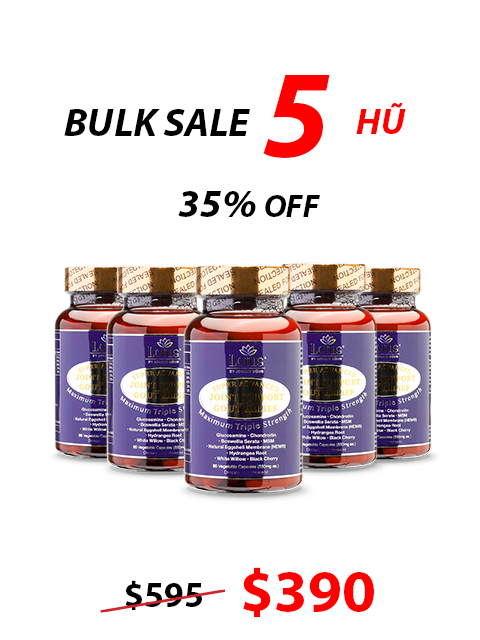SUPER ADVANCED JOINT GOUT RELIEF - CHỐNG ĐAU NHỨC XƯƠNG KHỚP 一歩ごとの自由